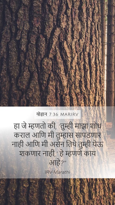 योहान 7:36 MARIRV Bible Verse Image