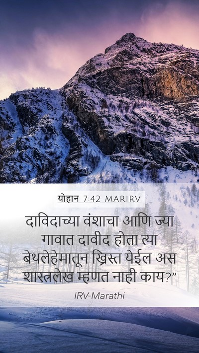 योहान 7:42 MARIRV Bible Verse Image