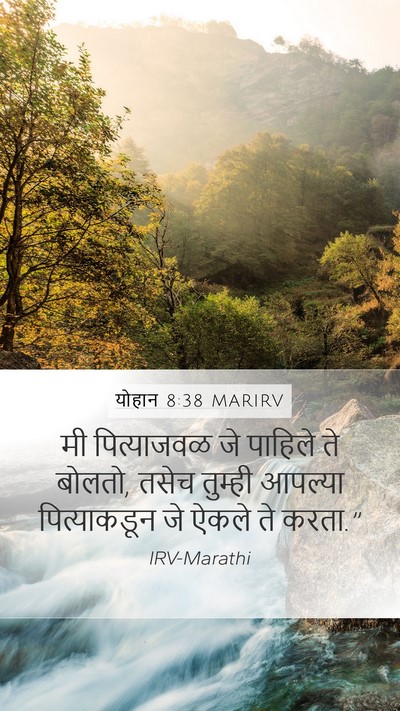 योहान 8:38 MARIRV Bible Verse Image