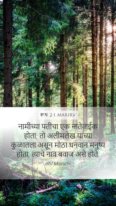 रूथ 2:1 MARIRV Bible Verse Image
