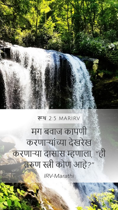 रूथ 2:5 MARIRV Mobile Phone Wallpaper - मग बवाज कापणी - Mobile Bible Verse Wallpaper