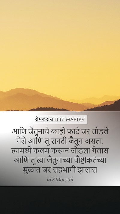रोमकरांस 11:17 MARIRV Bible Verse Image
