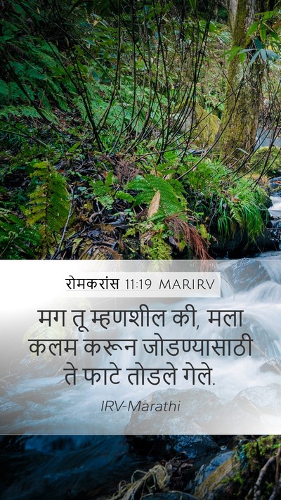 रोमकरांस 11:19 MARIRV Bible Verse Image