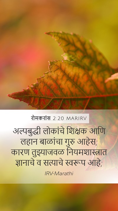 रोमकरांस 2:20 MARIRV Bible Verse Image