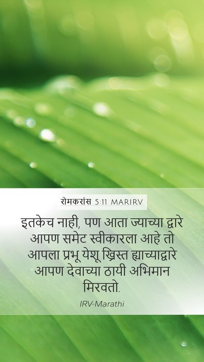 रोमकरांस 5:11 MARIRV Bible Verse Image