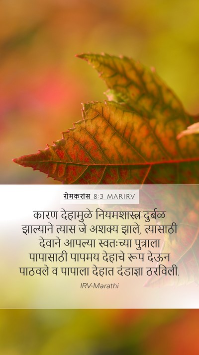 रोमकरांस 8:3 MARIRV Bible Verse Image