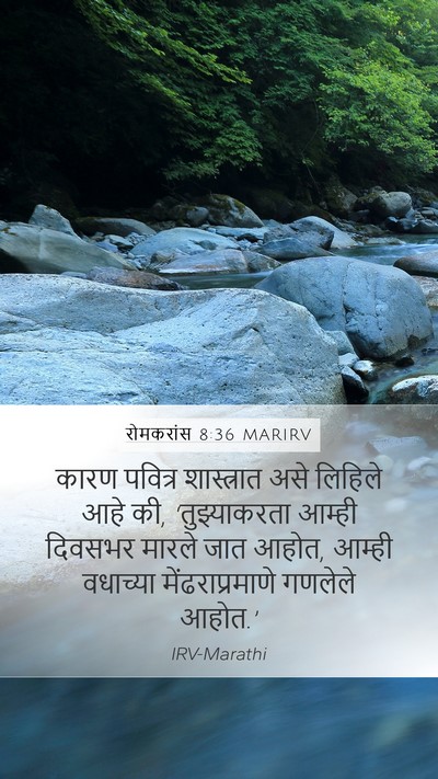 रोमकरांस 8:36 MARIRV Bible Verse Image
