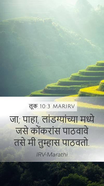 लूक 10:3 MARIRV Mobile Phone Wallpaper - जा; पाहा, - Mobile Bible Verse Wallpaper