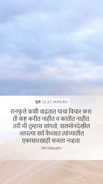 लूक 12:27 MARIRV Bible Verse Image