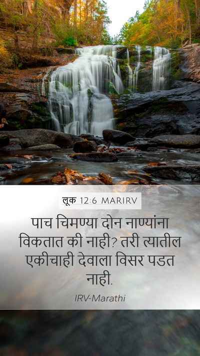 लूक 12:6 MARIRV Bible Verse Image