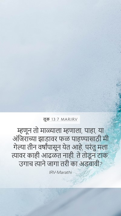 लूक 13:7 MARIRV Mobile Phone Wallpaper - म्हणून तो - Mobile Bible Verse Wallpaper