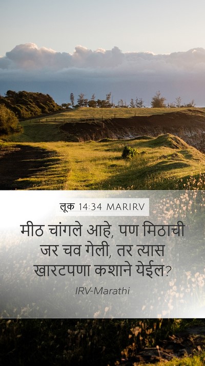 लूक 14:34 MARIRV Bible Verse Image
