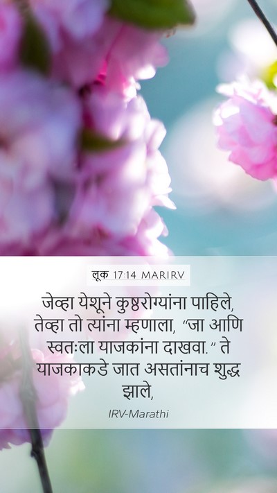 लूक 17:14 MARIRV Bible Verse Image