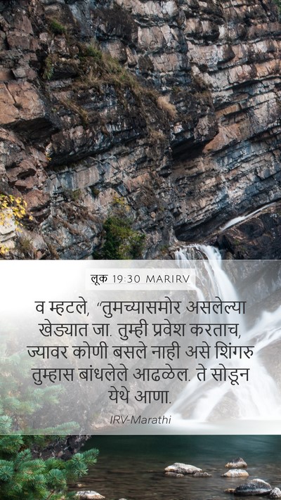 लूक 19:30 MARIRV Bible Verse Image