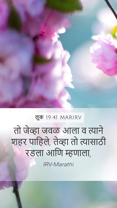 लूक 19:41 MARIRV Bible Verse Image