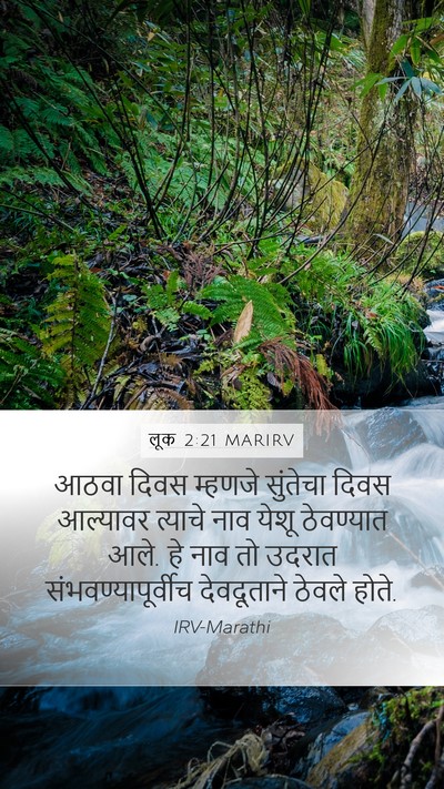 लूक 2:21 MARIRV Bible Verse Image