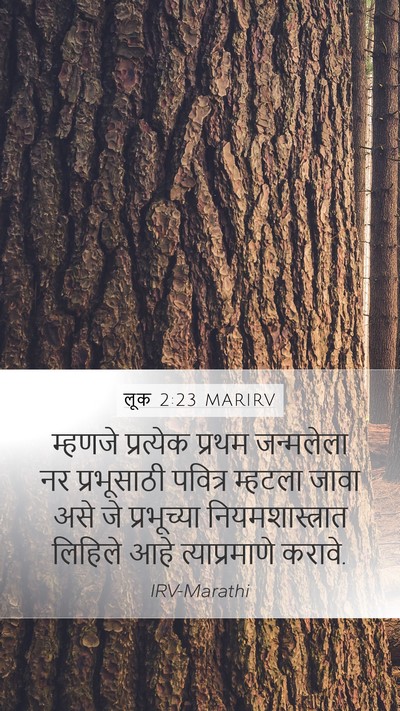 लूक 2:23 MARIRV Bible Verse Image