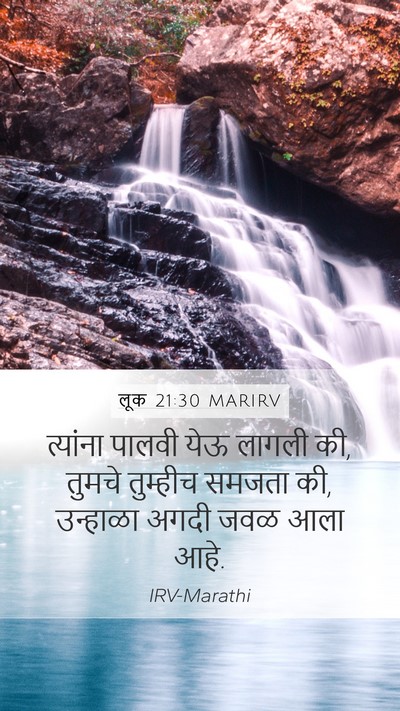 लूक 21:30 MARIRV Bible Verse Image