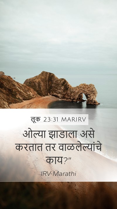 लूक 23:31 MARIRV Bible Verse Image