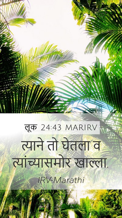 लूक 24:43 MARIRV Mobile Phone Wallpaper - त्याने तो घेतला व - Mobile Bible Verse Wallpaper