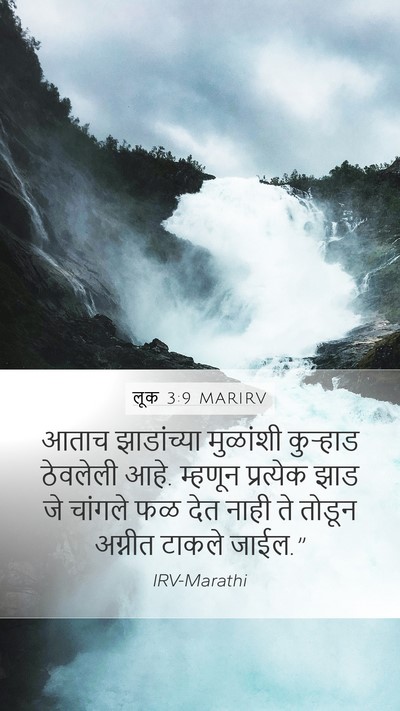 लूक 3:9 MARIRV Bible Verse Image