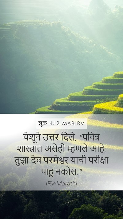 लूक 4:12 MARIRV Mobile Phone Wallpaper - येशूने उत्तर दिले, - Mobile Bible Verse Wallpaper