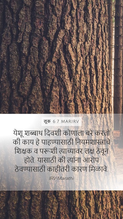 लूक 6:7 MARIRV Bible Verse Image