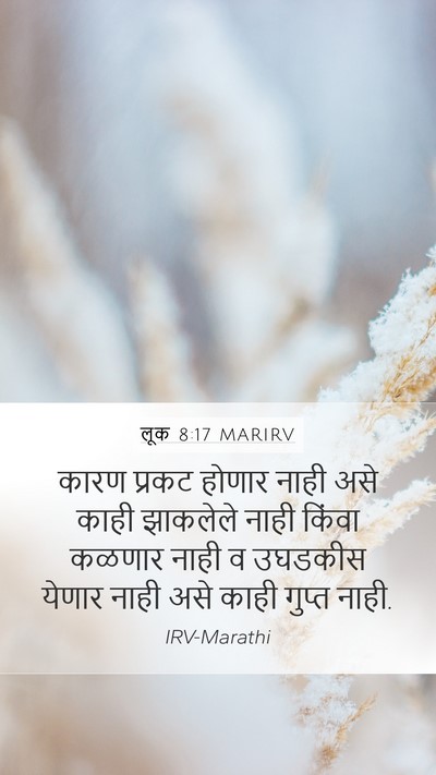 लूक 8:17 MARIRV Bible Verse Image