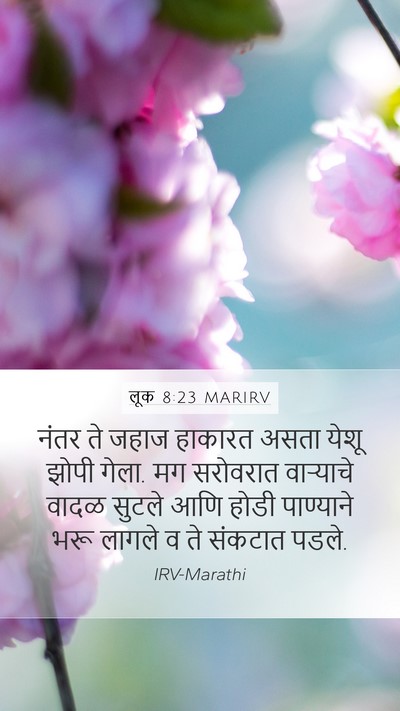 लूक 8:23 MARIRV Bible Verse Image
