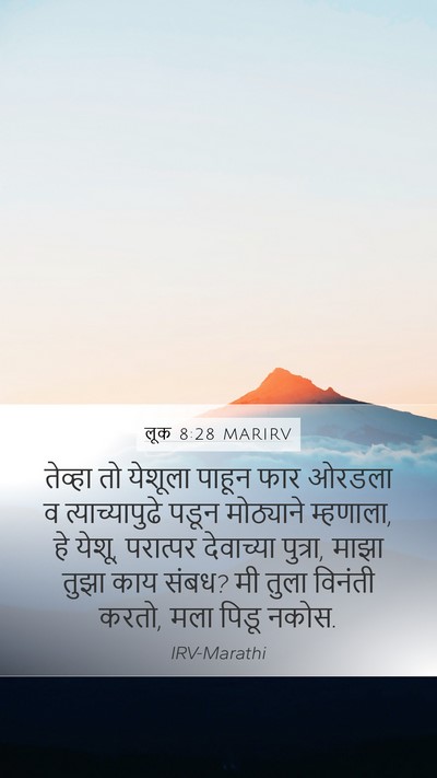 लूक 8:28 MARIRV Bible Verse Image
