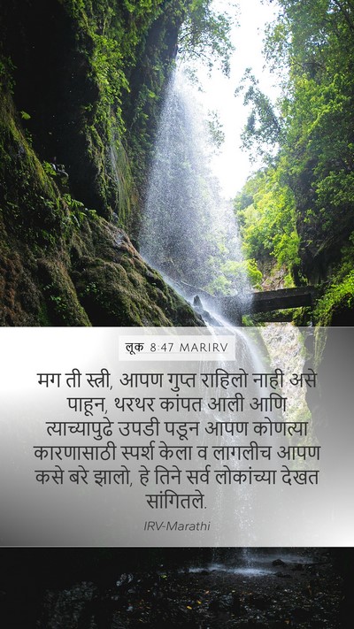 लूक 8:47 MARIRV Bible Verse Image