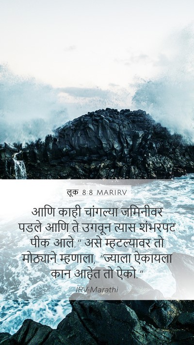 लूक 8:8 MARIRV Mobile Phone Wallpaper - आणि काही चांगल्या - Mobile Bible Verse Wallpaper