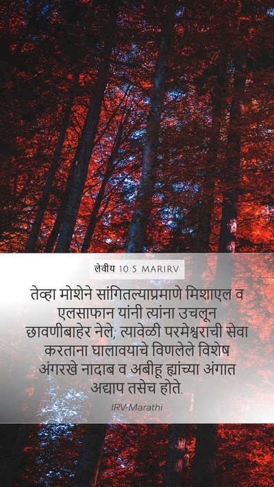 लेवीय 10:5 MARIRV Bible Verse Image