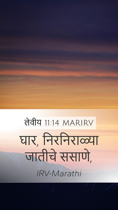 लेवीय 11:14 MARIRV Mobile Phone Wallpaper - घार, निरनिराळ्या - Mobile Bible Verse Wallpaper