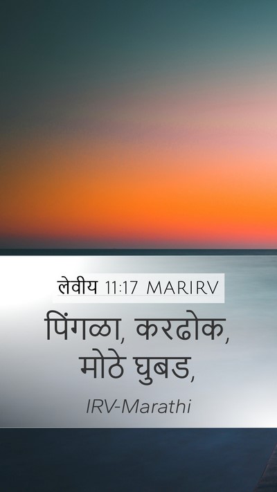 लेवीय 11:17 MARIRV Mobile Phone Wallpaper - पिंगळा, करढोक, मोठे - Mobile Bible Verse Wallpaper