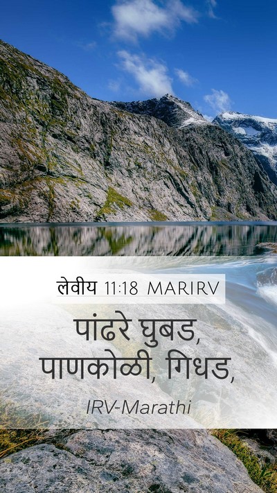 लेवीय 11:18 MARIRV Mobile Phone Wallpaper - पांढरे घुबड, - Mobile Bible Verse Wallpaper