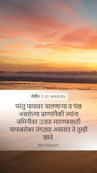 लेवीय 11:21 MARIRV Mobile Phone Wallpaper - परंतु पायावर - Mobile Bible Verse Wallpaper