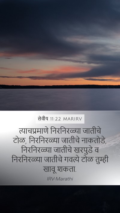 लेवीय 11:22 MARIRV Bible Verse Image