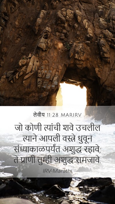 लेवीय 11:28 MARIRV Bible Verse Image