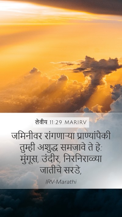 लेवीय 11:29 MARIRV Bible Verse Image