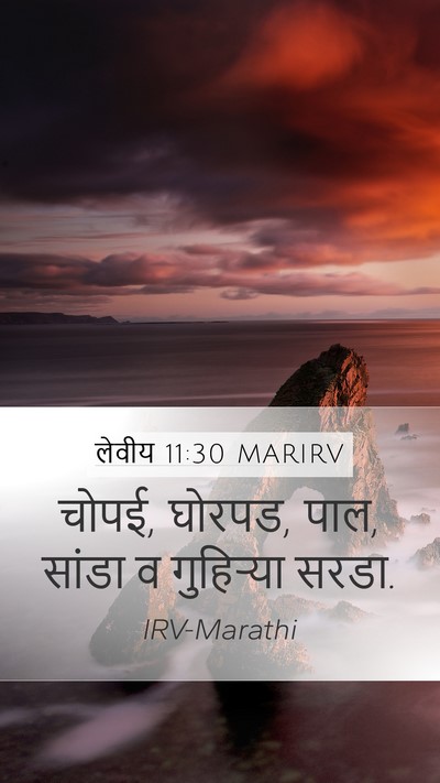 लेवीय 11:30 MARIRV Mobile Phone Wallpaper - चोपई, घोरपड, पाल, - Mobile Bible Verse Wallpaper