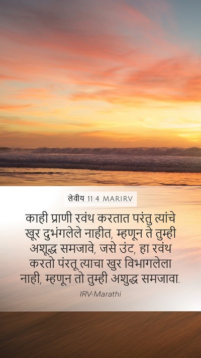 लेवीय 11:4 MARIRV Mobile Phone Wallpaper - काही प्राणी रवंथ - Mobile Bible Verse Wallpaper