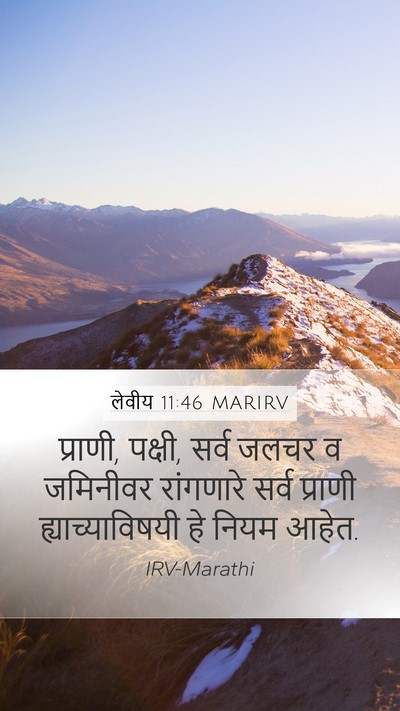 लेवीय 11:46 MARIRV Bible Verse Image
