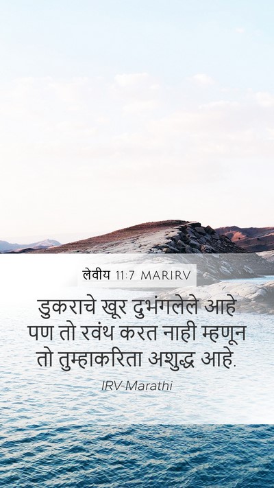 लेवीय 11:7 MARIRV Bible Verse Image
