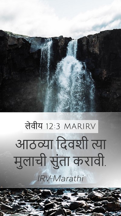 लेवीय 12:3 MARIRV Bible Verse Image