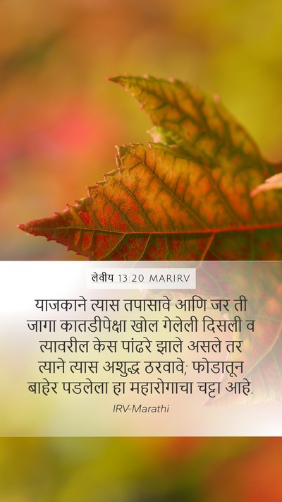 लेवीय 13:20 MARIRV Mobile Phone Wallpaper - याजकाने त्यास - Mobile Bible Verse Wallpaper