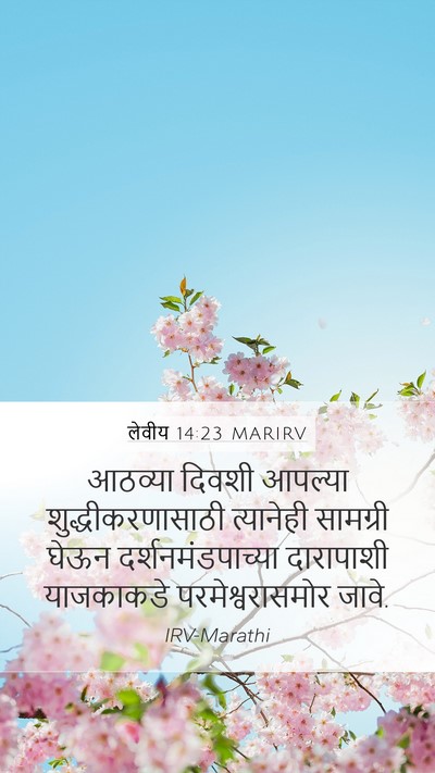 लेवीय 14:23 MARIRV Bible Verse Image