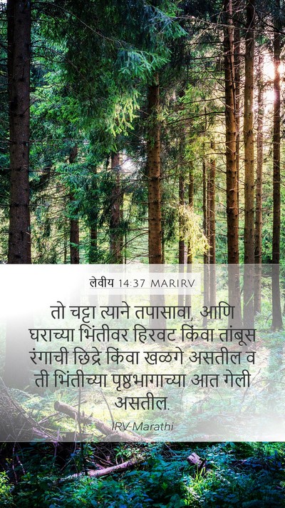 लेवीय 14:37 MARIRV Mobile Phone Wallpaper - तो चट्टा त्याने - Mobile Bible Verse Wallpaper