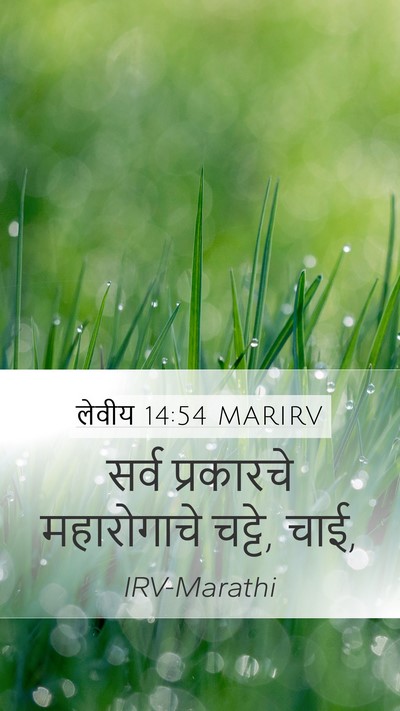 लेवीय 14:54 MARIRV Mobile Phone Wallpaper - सर्व प्रकारचे - Mobile Bible Verse Wallpaper