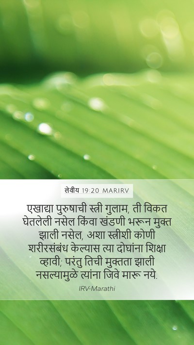 लेवीय 19:20 MARIRV Bible Verse Image